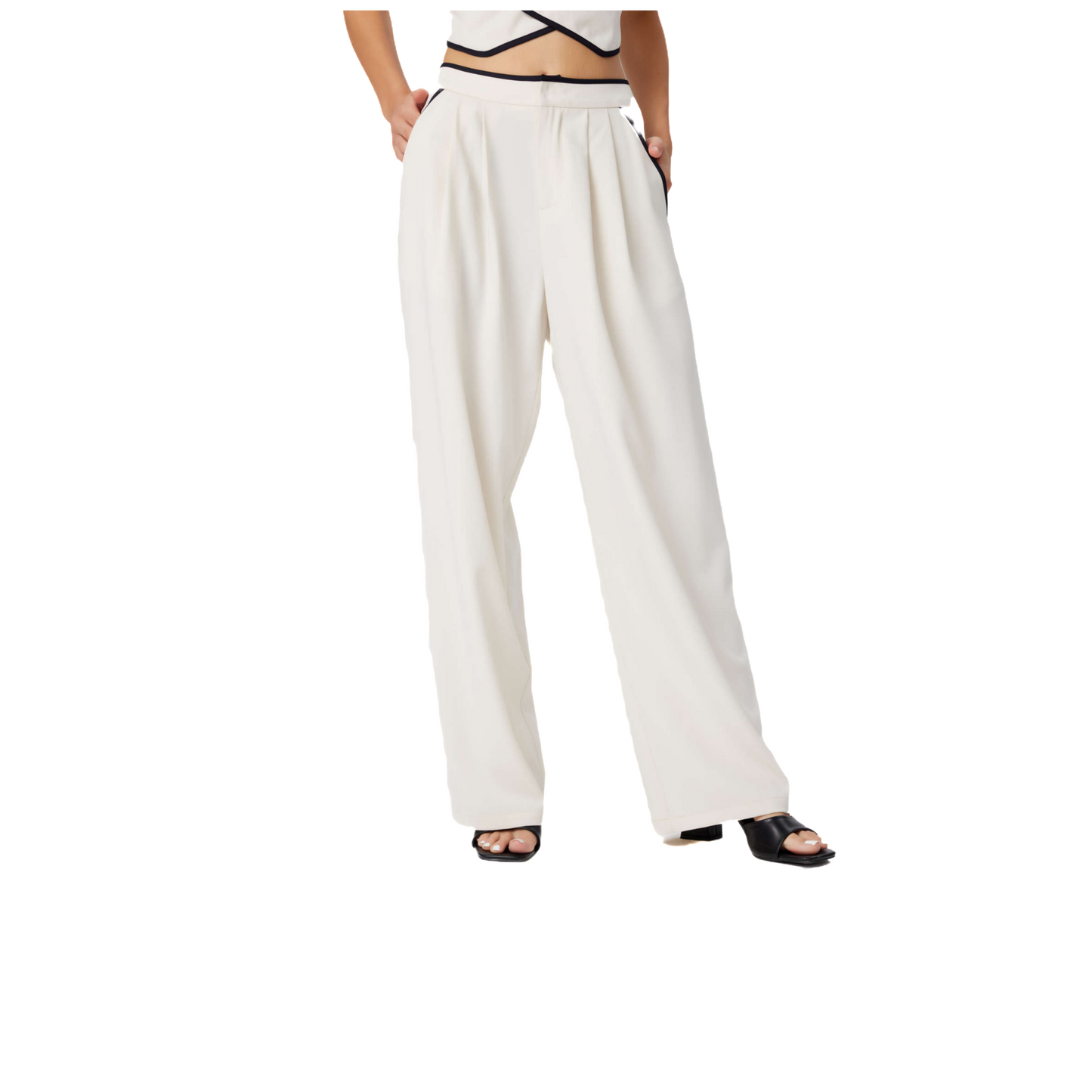 Pallid onyx pleated wide leg trousers